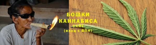 гашик Коряжма