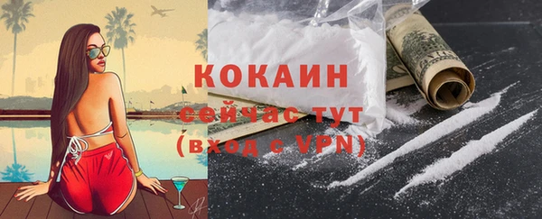 гашик Коряжма