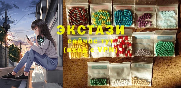 гашик Коряжма