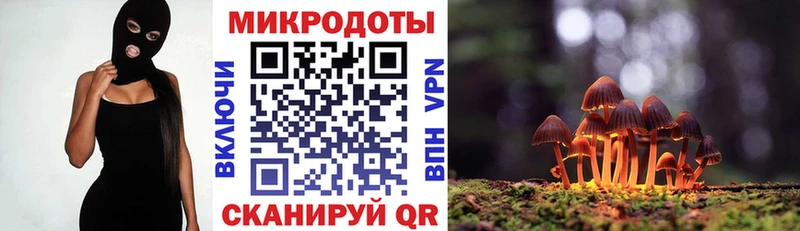 Псилоцибиновые грибы GOLDEN TEACHER Купить закладки Спасск-Дальний